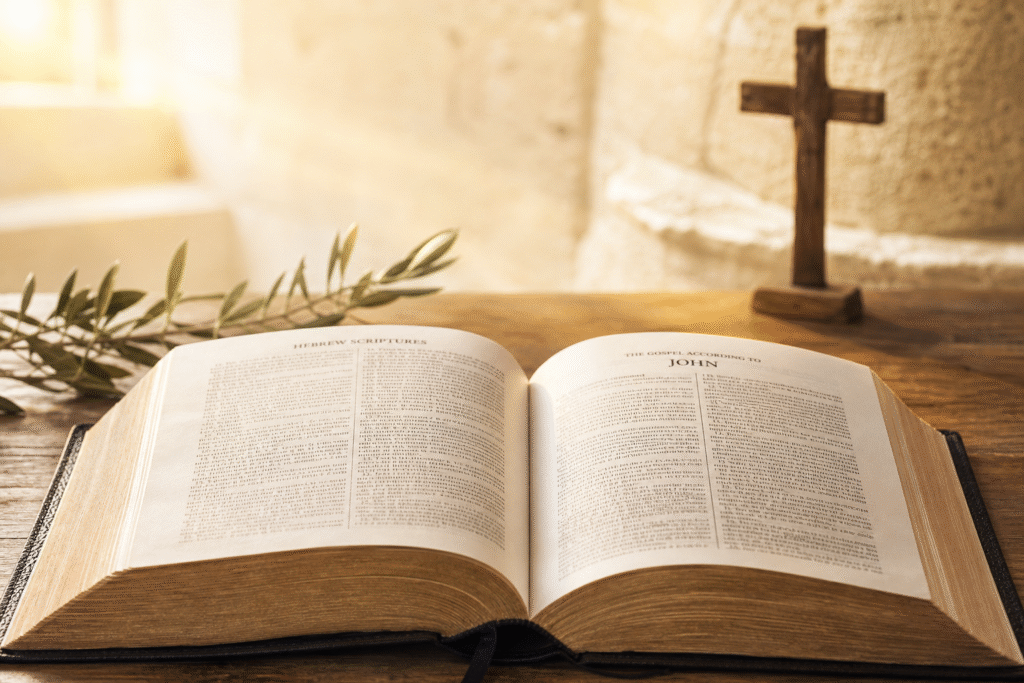Open Bible beside a wooden cross and olive branch